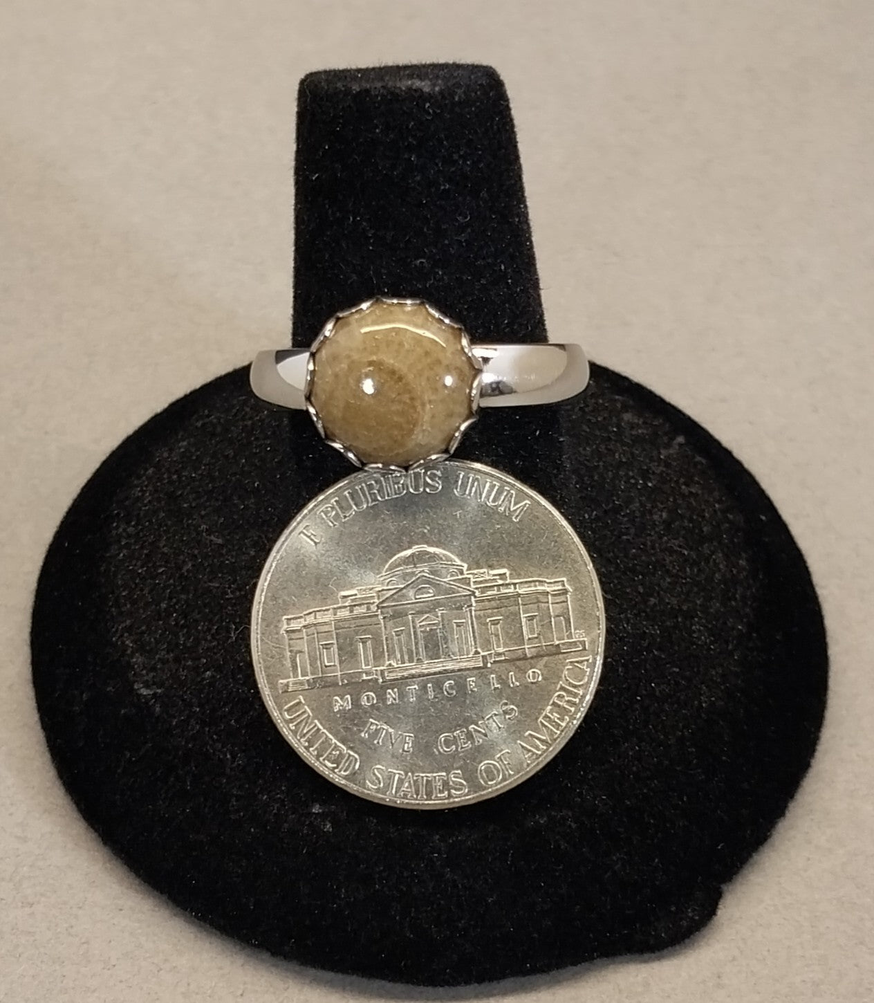 Petoskey Stone Rings in Stainless Steel, ET346