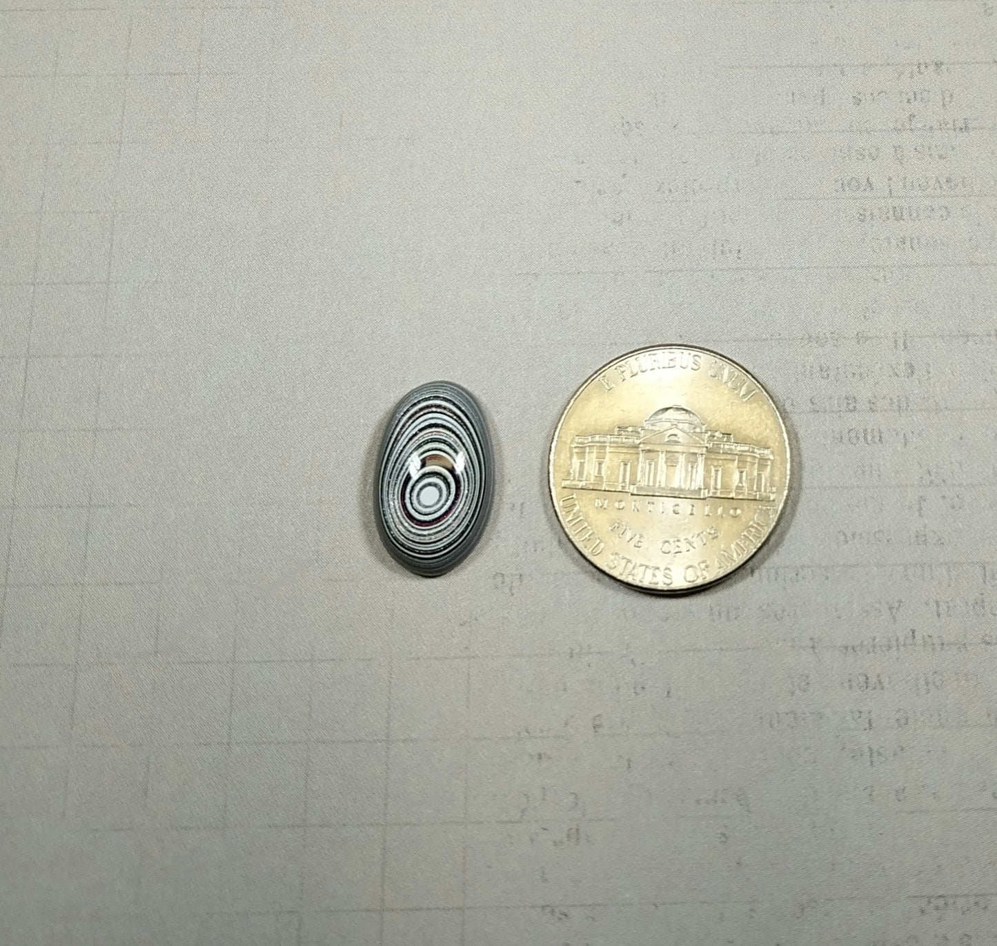Michigan Fordite Cabochon Bullseye Pattern, Happy Agate Studio ,EB90