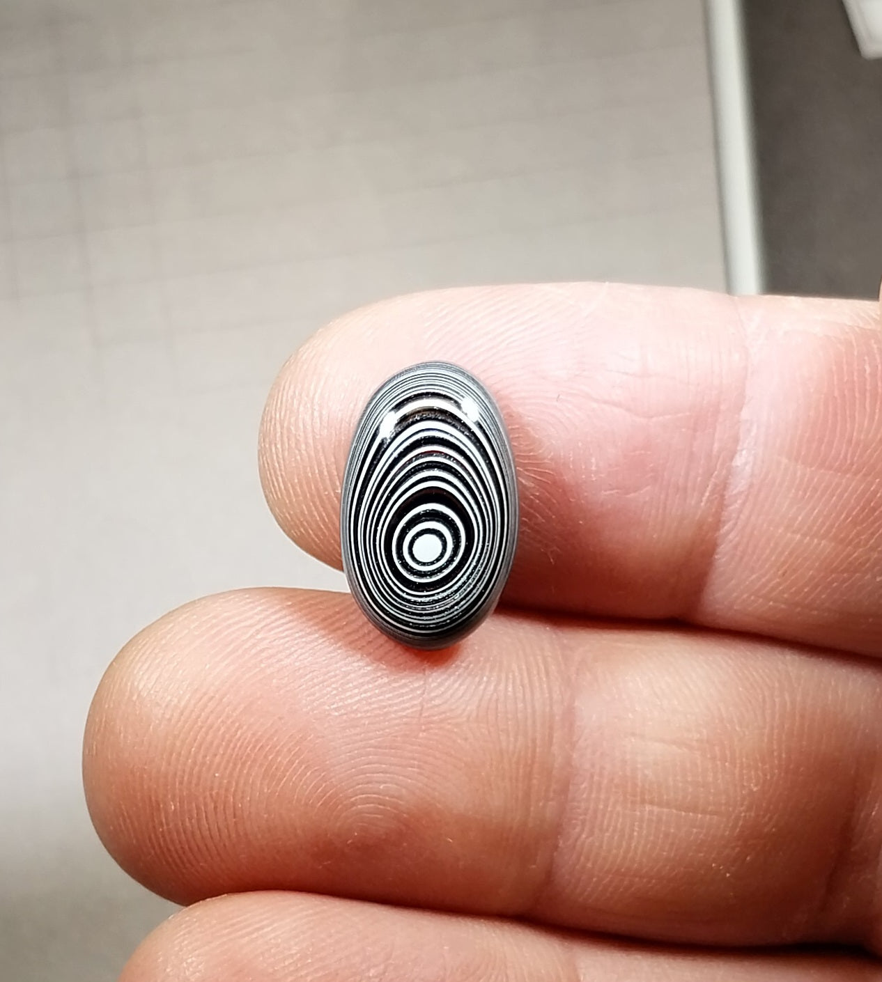 Michigan Fordite Cabochon Bullseye Pattern, Happy Agate Studio ,EB90