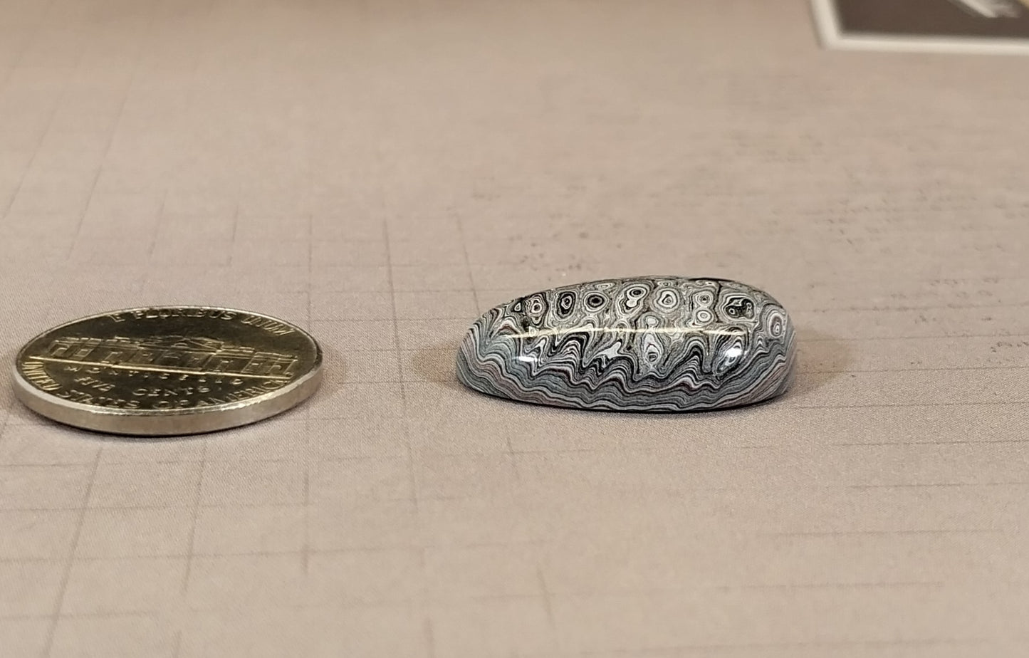 Fordite Cabochon in Domed Teardrop, Happy Agate Studio, EB26