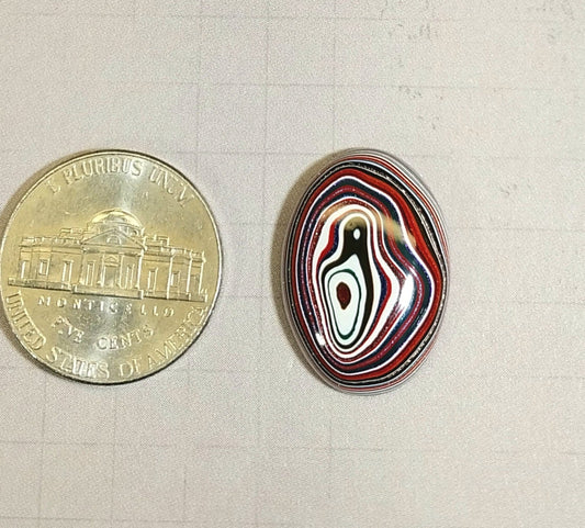 Fordite Cabochon, Polished Fordite, Domed Oval Cabochon, EB8