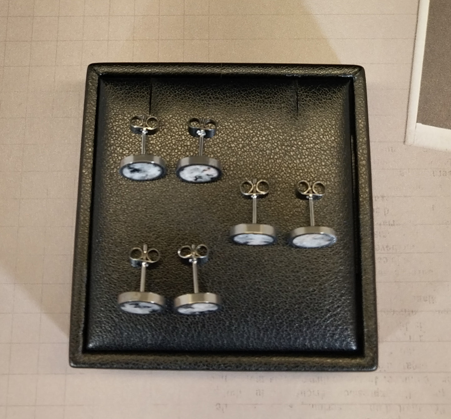 Lake Superior Emberlite Earrings Stainless Steel