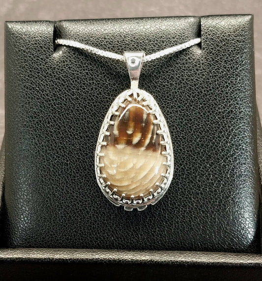 Petrified Wood Necklace Badger Pocket Sycamore in Solid Silver