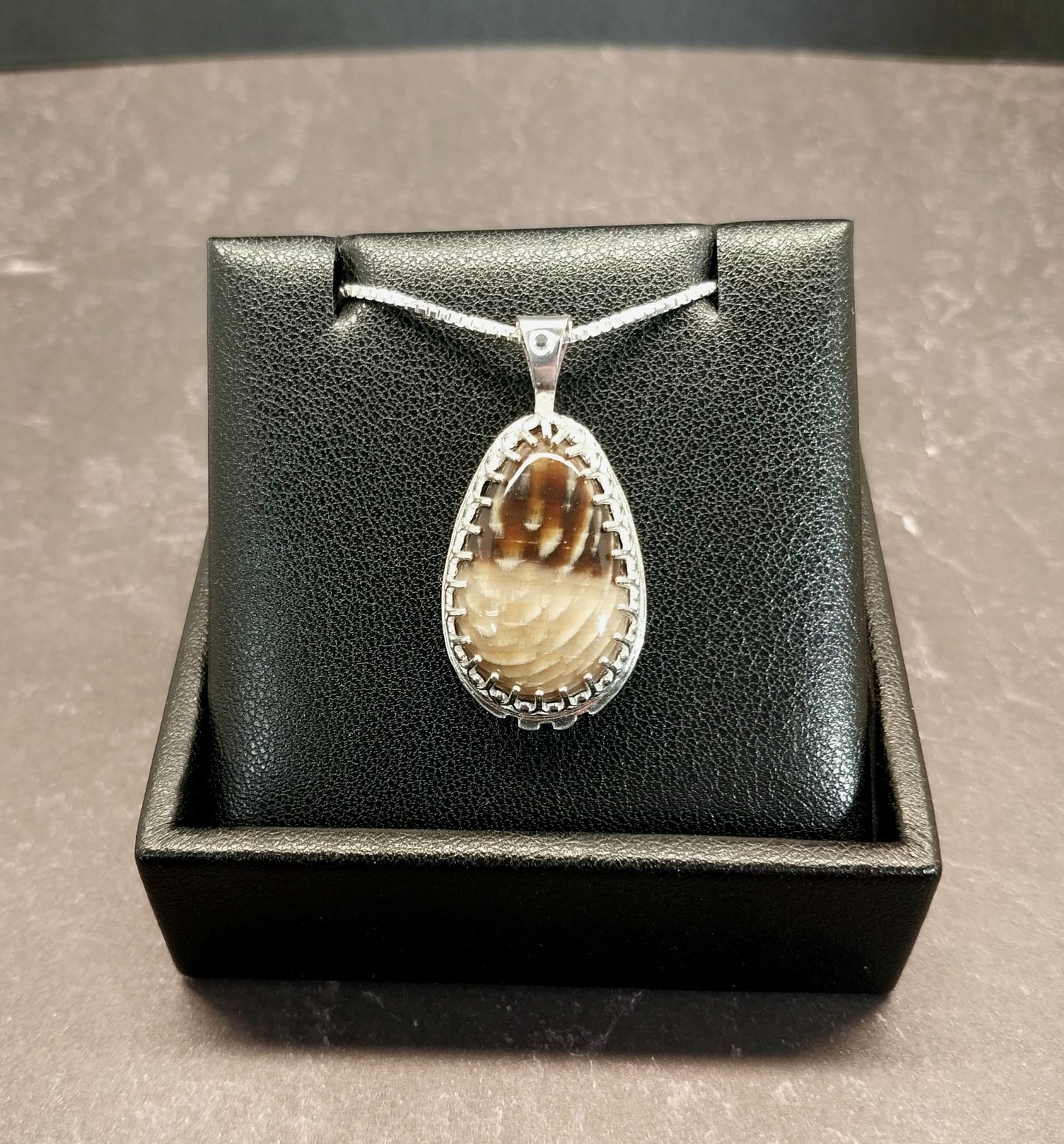Petrified Wood Necklace Badger Pocket Sycamore in Solid Silver