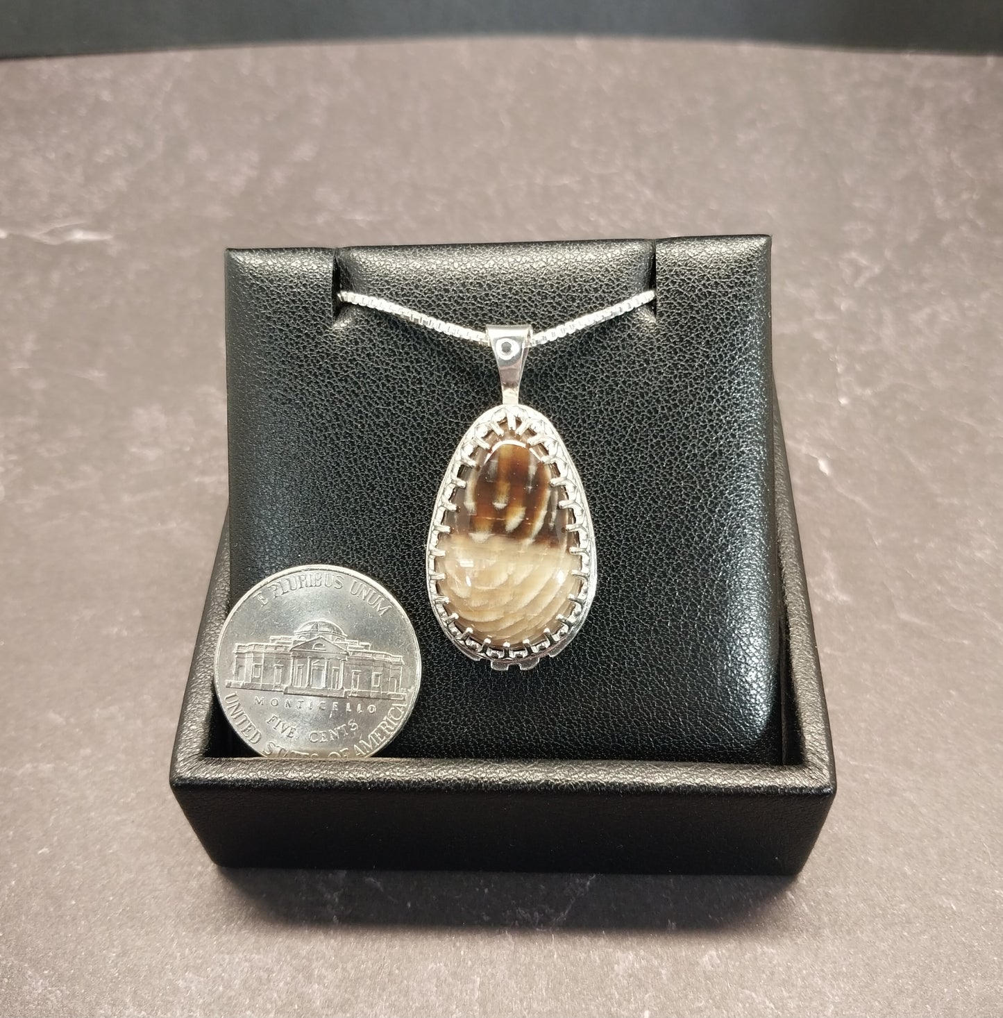 Petrified Wood Necklace Badger Pocket Sycamore in Solid Silver