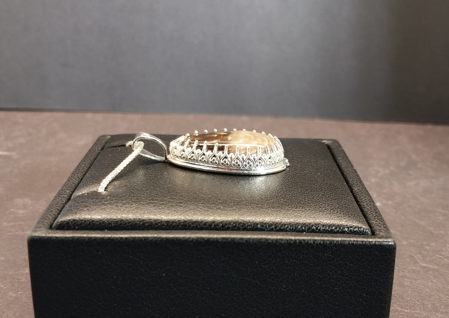 Petrified Wood Necklace Badger Pocket Sycamore in Solid Silver
