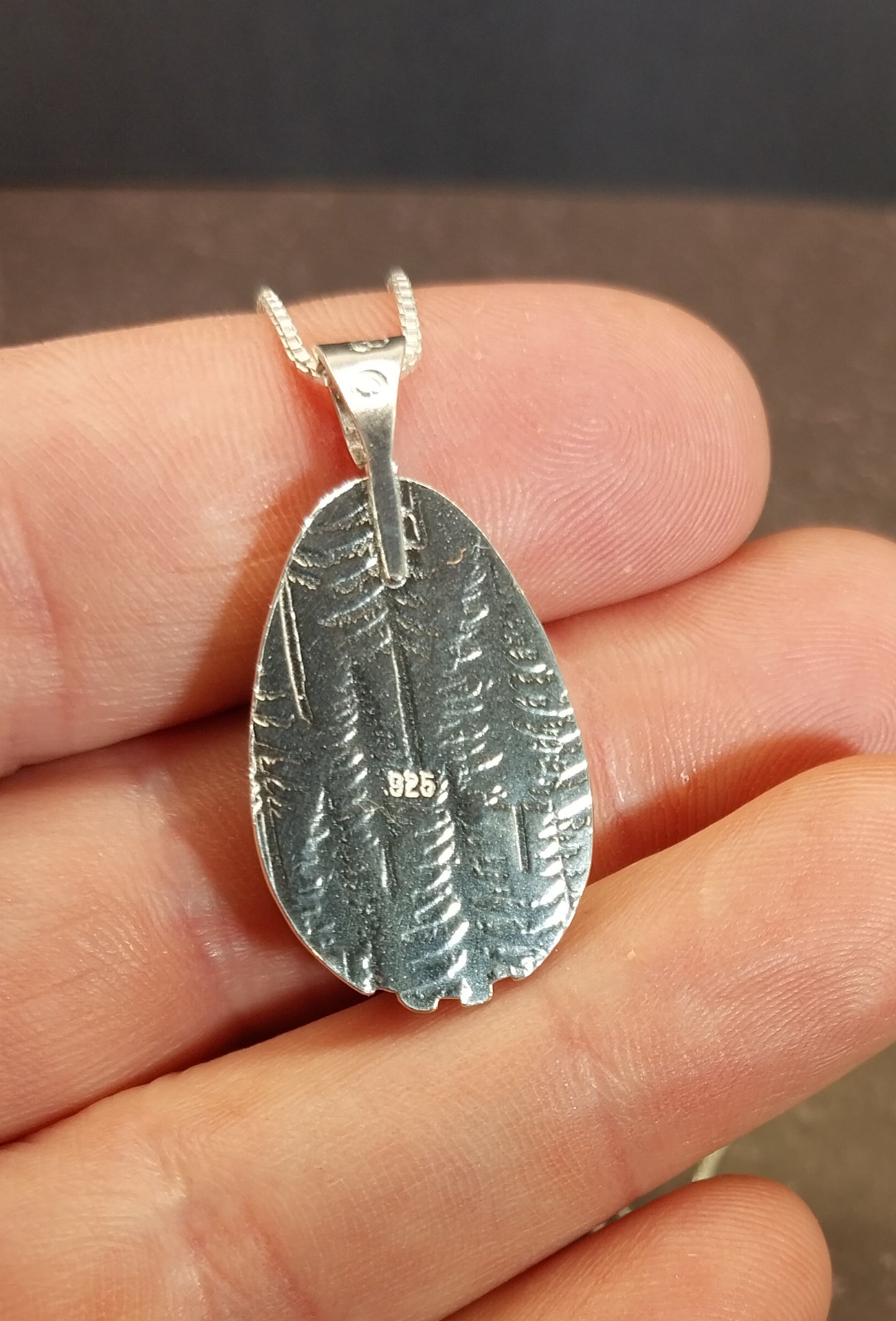 Petrified Wood Necklace Badger Pocket Sycamore in Solid Silver