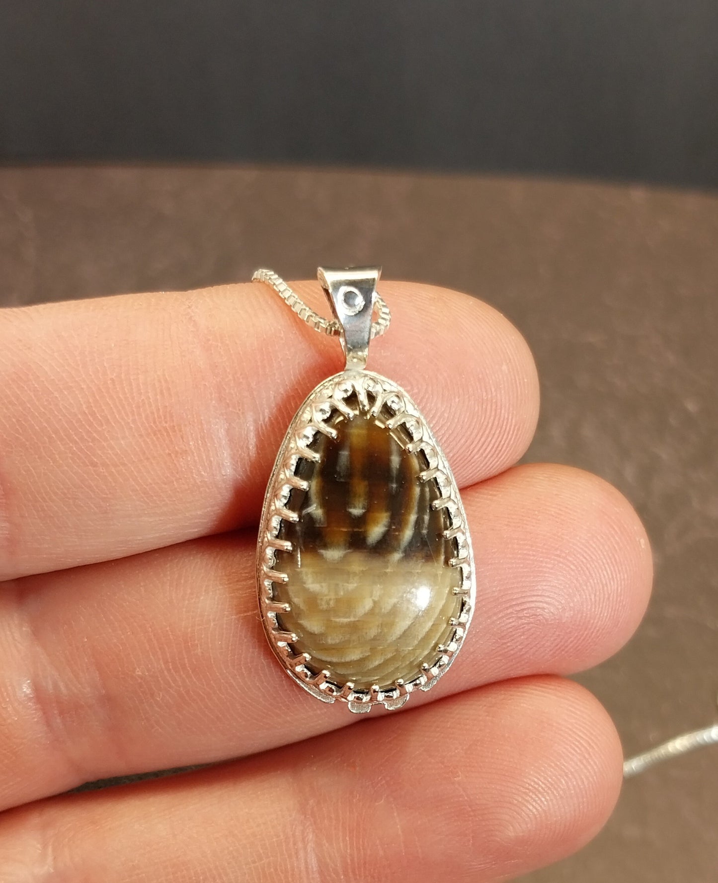 Petrified Wood Necklace Badger Pocket Sycamore in Solid Silver