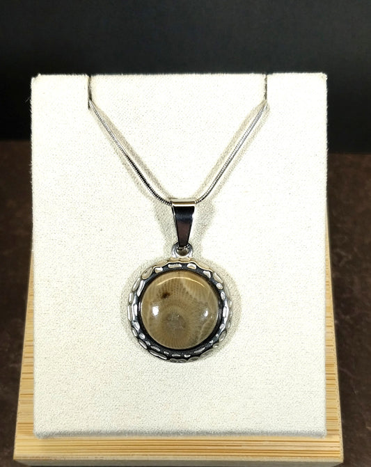 Michigan Petoskey Stone Necklace in Stainless Steel, EB31