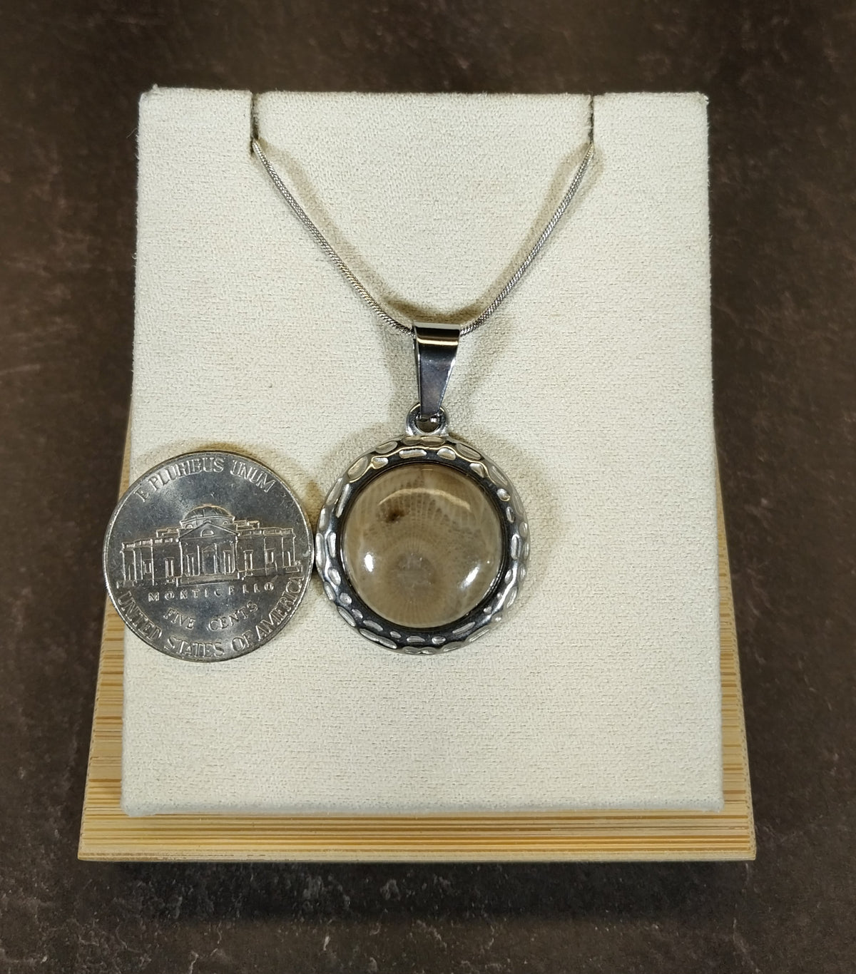 Michigan Petoskey Stone Necklace in Stainless Steel, EB31