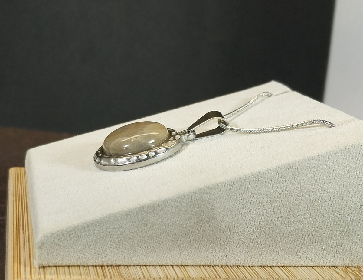 Michigan Petoskey Stone Necklace in Stainless Steel, EB31