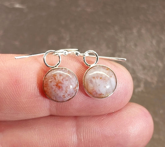 Pink and White Fossil Coral Agate Earrings in Solid Silver