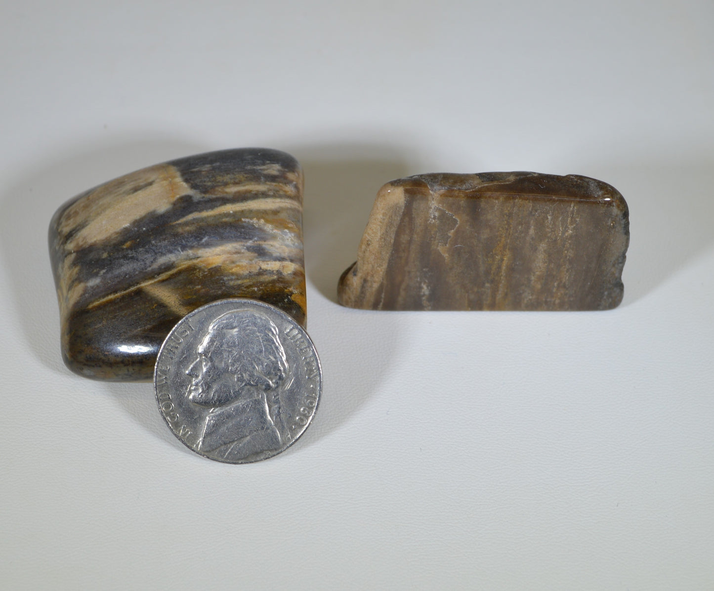 Petrified Wood, Tumble Polished, Two Pieces, Fossil Wood