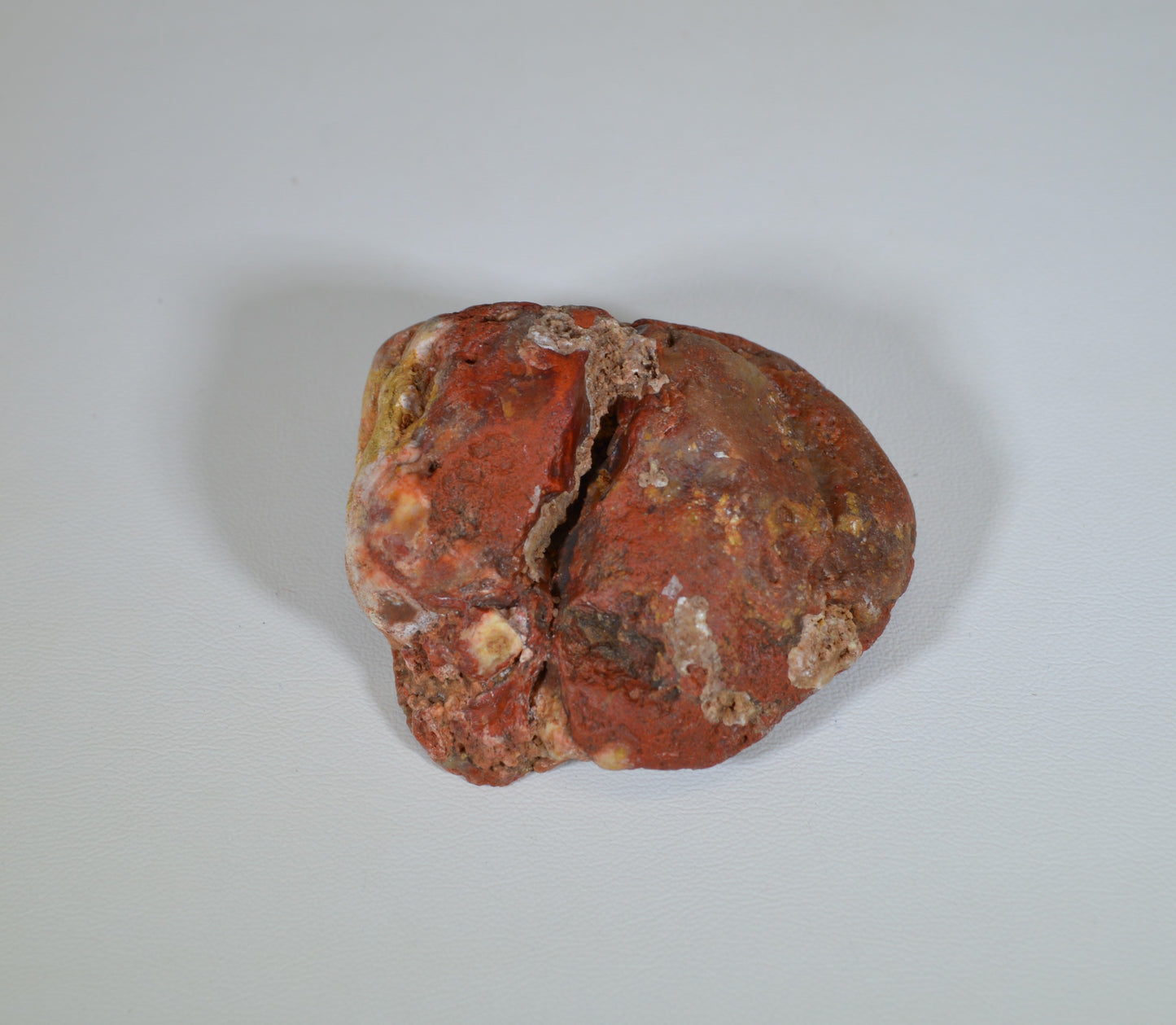 Coprolite Specimen, Small Polished Dinosaur Poop Fossil, Fossil Coprolite