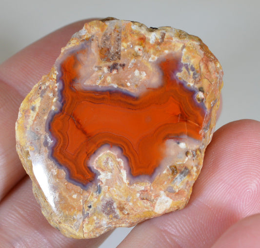 Red Hot Agate, Berrando Red Agate, Puppy - lOOk for it - Polished Thunder Egg