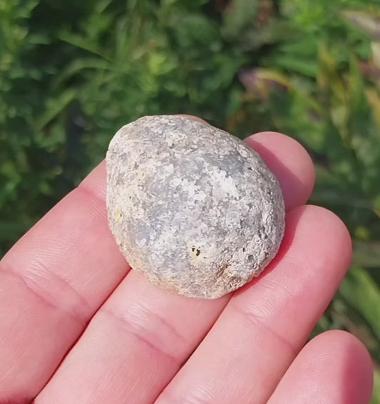 Starry Sky Agate Geode, Arizona Agate Geode, Starry Night Geode, Polished Geode, W/O