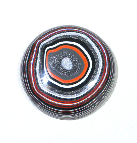 Fordite Cabochon, Polished Fordite, Domed Round Cabochon EB8